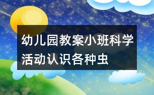 幼兒園教案小班科學(xué)活動(dòng)認(rèn)識(shí)各種蟲