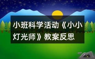 小班科學活動《小小燈光師》教案反思