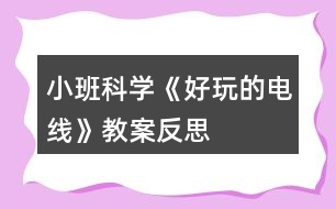 小班科學(xué)《好玩的電線》教案反思