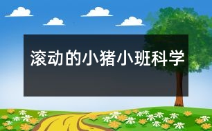 滾動的小豬（小班科學(xué)）