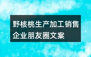 野核桃生產(chǎn)、加工、銷(xiāo)售企業(yè)朋友圈文案32句