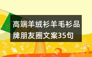 高端羊絨衫、羊毛衫品牌朋友圈文案35句