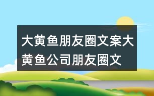 大黃魚朋友圈文案、大黃魚公司朋友圈文案32句