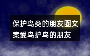 保護(hù)鳥類的朋友圈文案、愛鳥護(hù)鳥的朋友圈文案36句