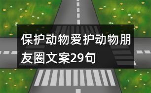 保護(hù)動(dòng)物、愛(ài)護(hù)動(dòng)物朋友圈文案29句