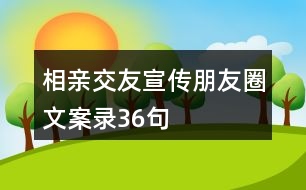 相親交友宣傳朋友圈文案錄36句