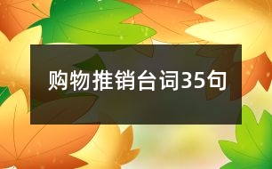 購物推銷臺(tái)詞35句