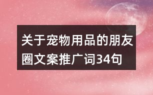 關(guān)于寵物用品的朋友圈文案、推廣詞34句