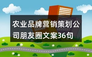 農(nóng)業(yè)品牌營(yíng)銷策劃公司朋友圈文案36句