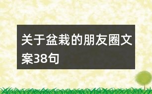 關于盆栽的朋友圈文案38句