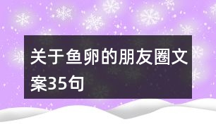 關(guān)于魚(yú)卵的朋友圈文案35句