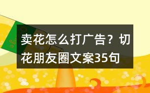 賣花怎么打廣告？切花朋友圈文案35句