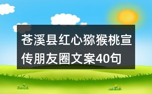 蒼溪縣紅心獼猴桃宣傳朋友圈文案40句