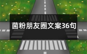 菌粉朋友圈文案36句