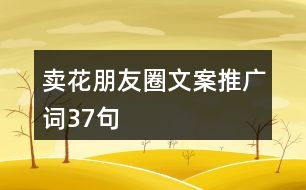 賣花朋友圈文案、推廣詞37句
