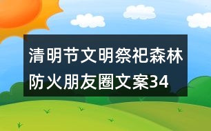 清明節(jié)文明祭祀、森林防火朋友圈文案34句