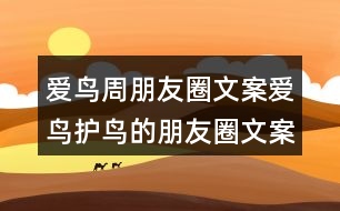 愛鳥周朋友圈文案:愛鳥護鳥的朋友圈文案38句