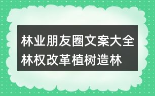 林業(yè)朋友圈文案大全：林權(quán)改革、植樹造林朋友圈文案36句