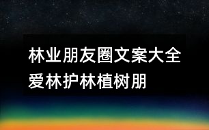 林業(yè)朋友圈文案大全：愛林、護(hù)林、植樹朋友圈文案40句