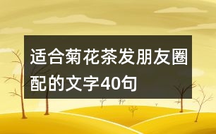 適合菊花茶發(fā)朋友圈配的文字40句