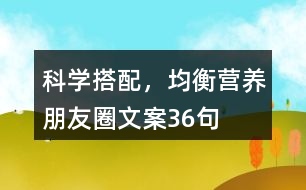 科學搭配，均衡營養(yǎng)朋友圈文案36句