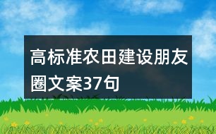 高標準農(nóng)田建設朋友圈文案37句