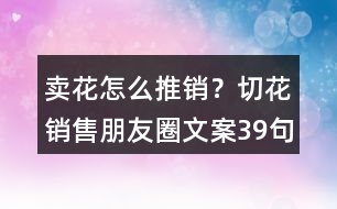 賣花怎么推銷？切花銷售朋友圈文案39句