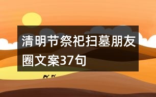 清明節(jié)祭祀、掃墓朋友圈文案37句
