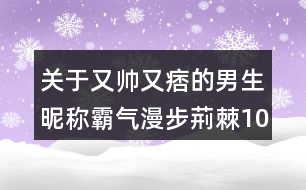 關于又帥又痞的男生昵稱霸氣漫步荊棘100個