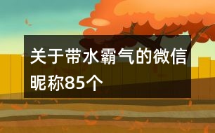 關于帶水霸氣的微信昵稱85個