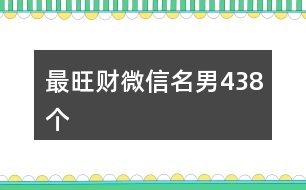 最旺財(cái)微信名男438個