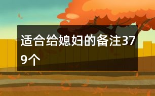適合給媳婦的備注379個