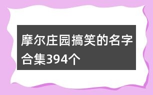 摩爾莊園搞笑的名字合集394個