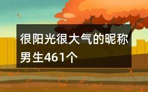 很陽光很大氣的昵稱男生461個(gè)