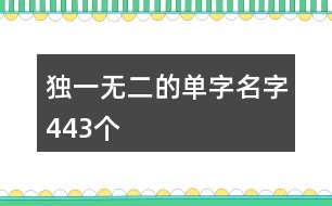 獨(dú)一無(wú)二的單字名字443個(gè)