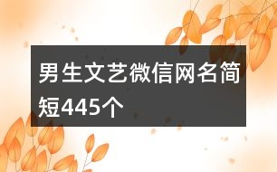 男生文藝微信網(wǎng)名簡短445個(gè)