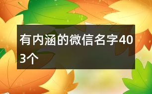 有內涵的微信名字403個