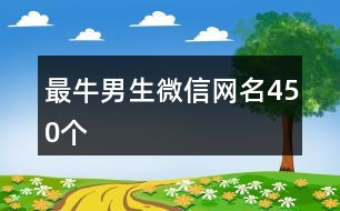 最牛男生微信網名450個