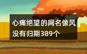 心痛絕望的網(wǎng)名—像風(fēng)沒有歸期389個(gè)