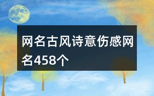 網(wǎng)名古風詩意傷感網(wǎng)名458個