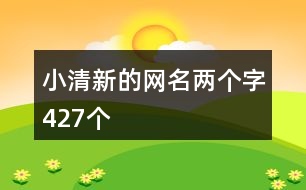 小清新的網(wǎng)名兩個(gè)字427個(gè)