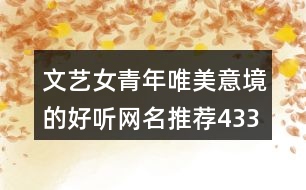 文藝女青年唯美意境的好聽網(wǎng)名推薦433個