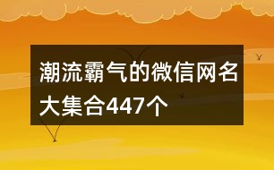 潮流霸氣的微信網名大集合447個