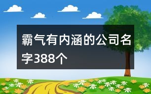 霸氣有內涵的公司名字388個