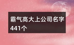 霸氣高大上公司名字441個(gè)