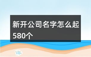 新開公司名字怎么起580個