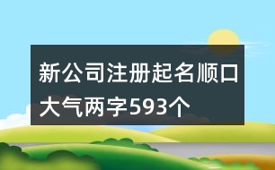 新公司注冊起名順口大氣兩字593個(gè)