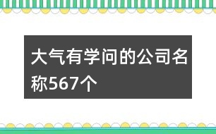 大氣有學(xué)問(wèn)的公司名稱(chēng)567個(gè)