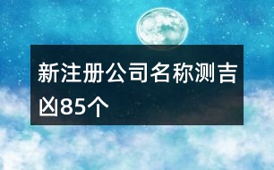 新注冊公司名稱測吉兇85個(gè)