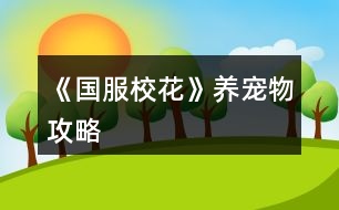 《國服?；ā佛B(yǎng)寵物攻略